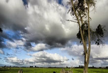 梅西对阵墨西哥的进球有多关键？