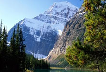 打牌吧下载可靠吗？怎么下载？